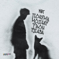 Почему молчат твои глаза