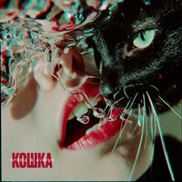AVAYVA;кравц - Кошка